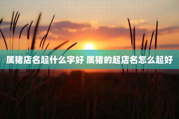 属猪店名起什么字好 属猪的起店名怎么起好