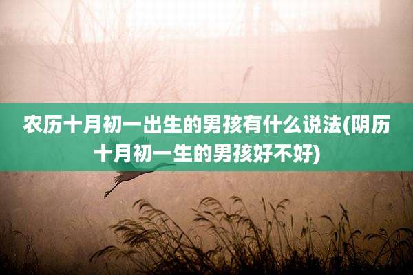 农历十月初一出生的男孩有什么说法(阴历十月初一生的男孩好不好)