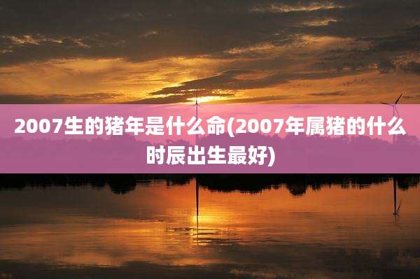 2007生的猪年是什么命(2007年属猪的什么时辰出生最好)