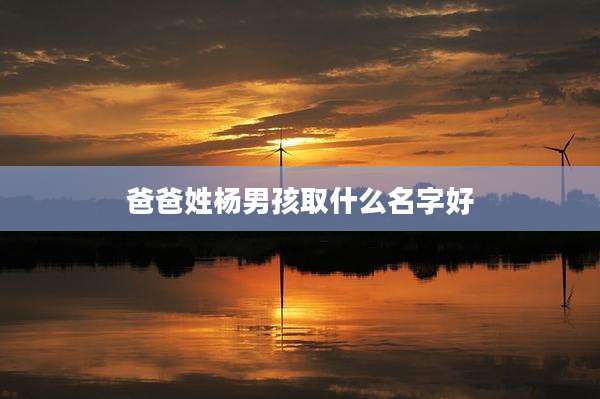 爸爸姓杨男孩取什么名字好