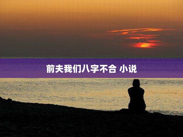 前夫我们八字不合 小说