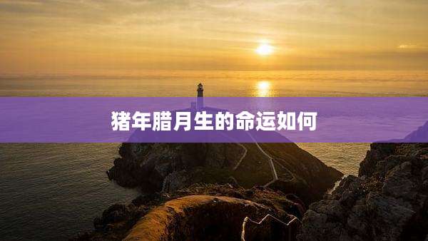 猪年腊月生的命运如何