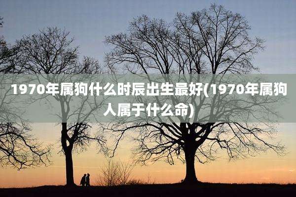 1970年属狗什么时辰出生最好(1970年属狗人属于什么命)
