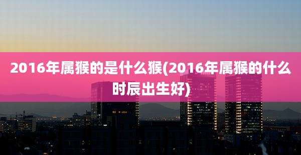 2016年属猴的是什么猴(2016年属猴的什么时辰出生好)