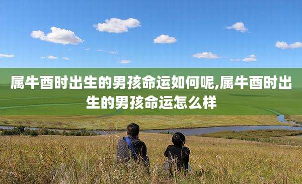 属牛酉时出生的男孩命运如何呢,属牛酉时出生的男孩命运怎么样