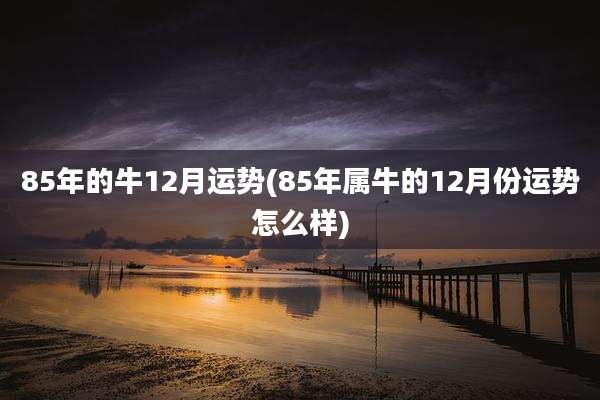 85年的牛12月运势(85年属牛的12月份运势怎么样)