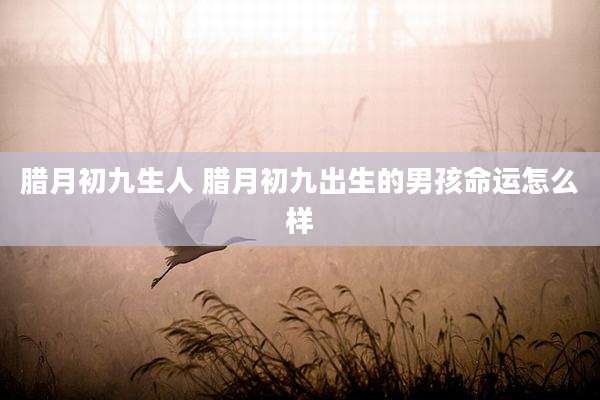 腊月初九生人 腊月初九出生的男孩命运怎么样