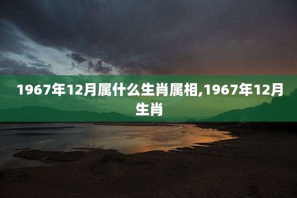 1967年12月属什么生肖属相,1967年12月生肖