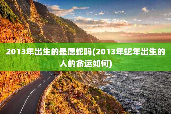 2013年出生的是属蛇吗(2013年蛇年出生的人的命运如何)