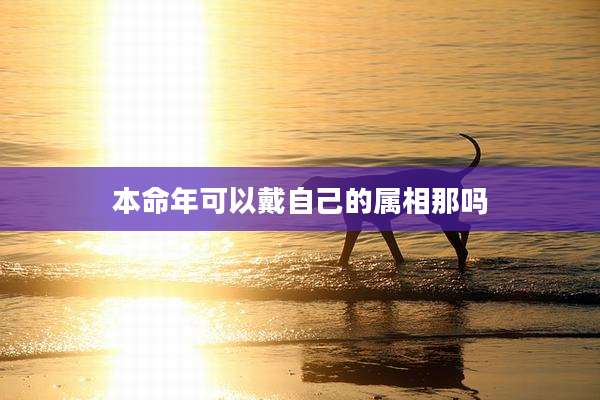 本命年可以戴自己的属相那吗