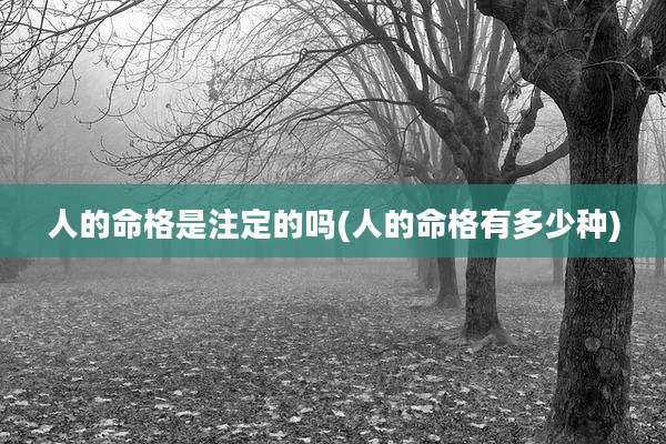 人的命格是注定的吗(人的命格有多少种)
