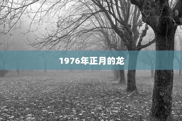 1976年正月的龙