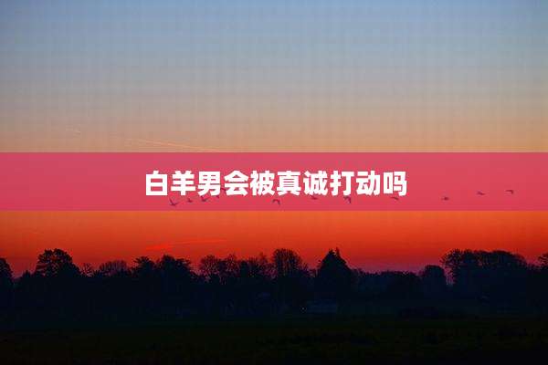 白羊男会被真诚打动吗