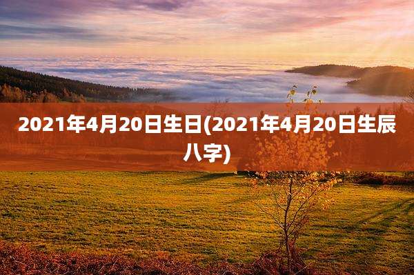 2021年4月20日生日(2021年4月20日生辰八字)