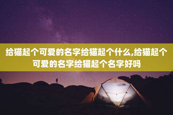 给猫起个可爱的名字给猫起个什么,给猫起个可爱的名字给猫起个名字好吗