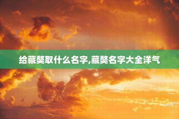 给藏獒取什么名字,藏獒名字大全洋气