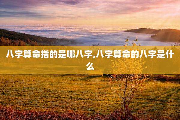 八字算命指的是哪八字,八字算命的八字是什么
