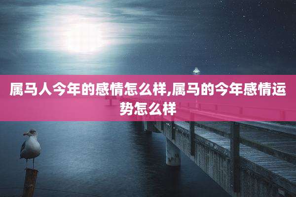 属马人今年的感情怎么样,属马的今年感情运势怎么样