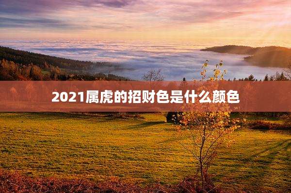2021属虎的招财色是什么颜色