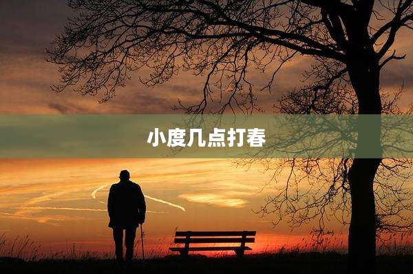 小度几点打春