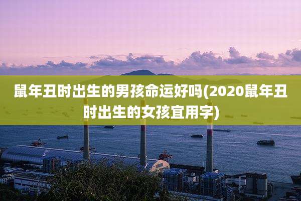 鼠年丑时出生的男孩命运好吗(2020鼠年丑时出生的女孩宜用字)