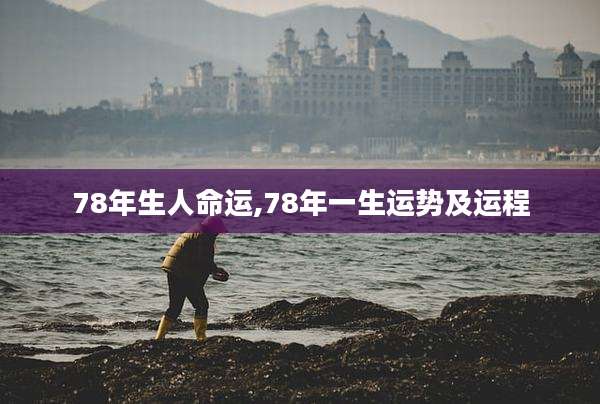 78年生人命运,78年一生运势及运程