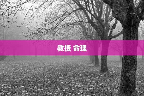 教授 命理