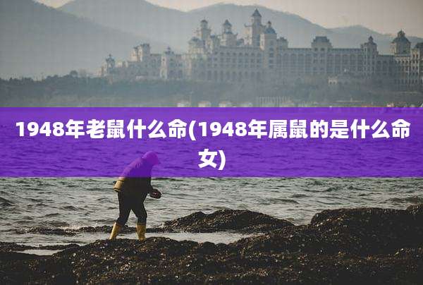 1948年老鼠什么命(1948年属鼠的是什么命女)