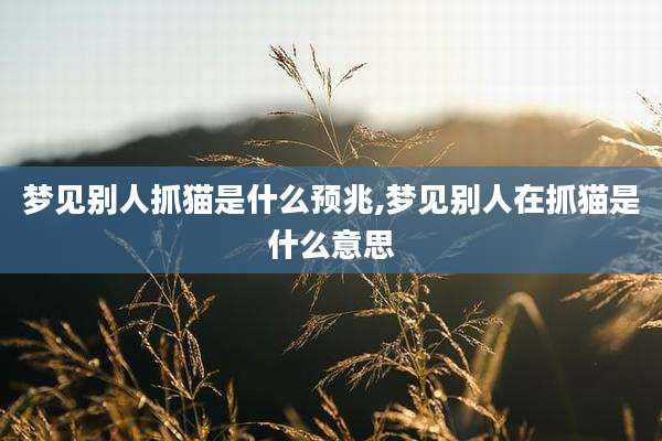 梦见别人抓猫是什么预兆,梦见别人在抓猫是什么意思