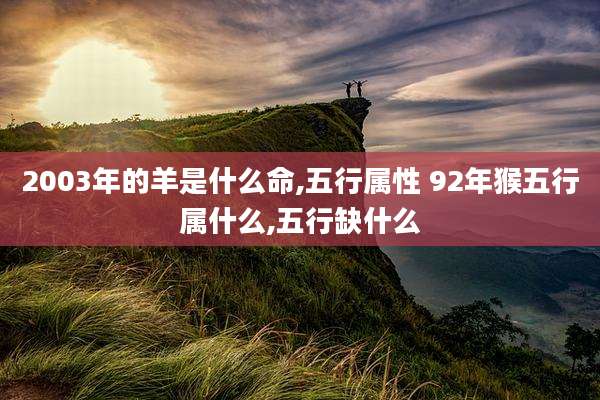 2003年的羊是什么命,五行属性 92年猴五行属什么,五行缺什么