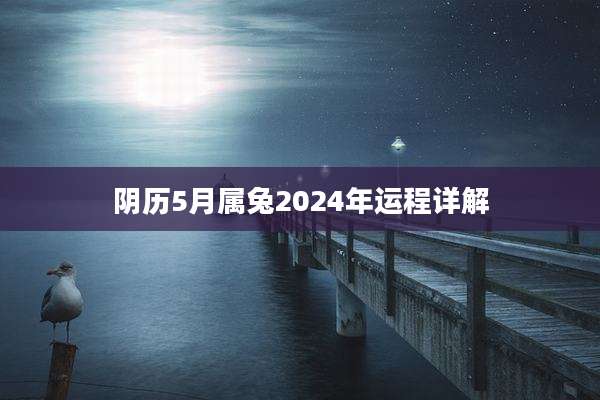 阴历5月属兔2024年运程详解