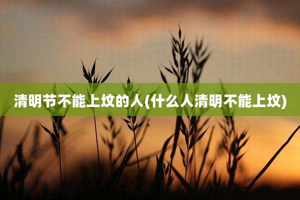 清明节不能上坟的人(什么人清明不能上坟)