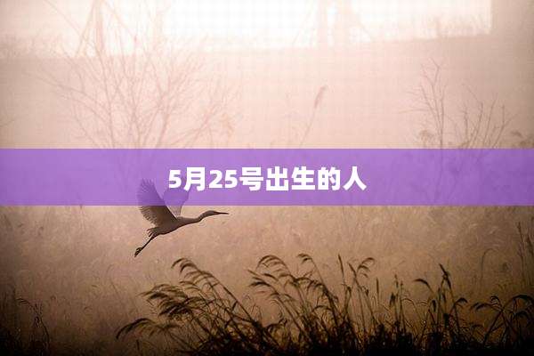 5月25号出生的人