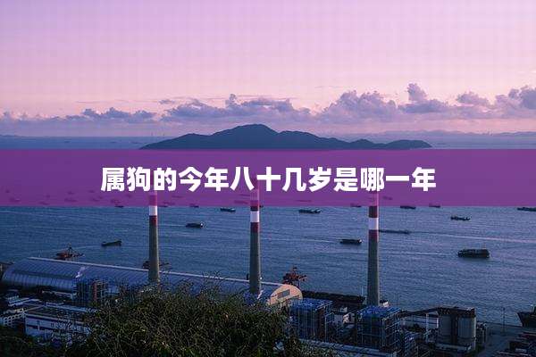 属狗的今年八十几岁是哪一年