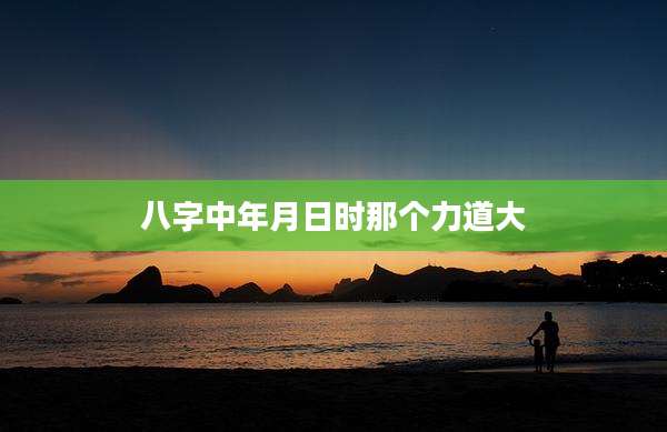 八字中年月日时那个力道大