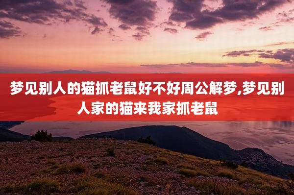 梦见别人的猫抓老鼠好不好周公解梦,梦见别人家的猫来我家抓老鼠