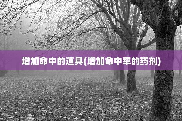 增加命中的道具(增加命中率的药剂)