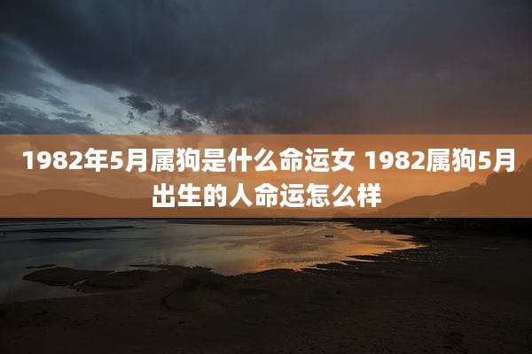 1982年5月属狗是什么命运女 1982属狗5月出生的人命运怎么样