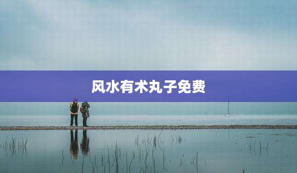 风水有术丸子免费