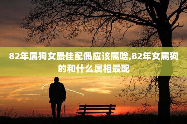 82年属狗女最佳配偶应该属啥,82年女属狗的和什么属相最配