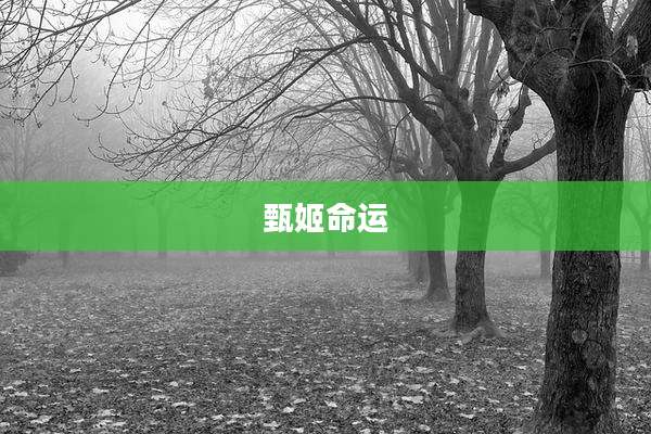 甄姬命运
