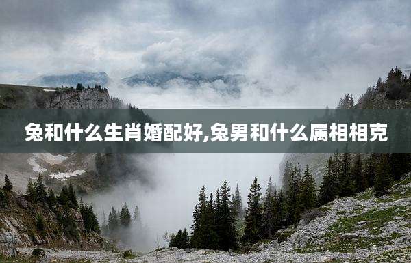 兔和什么生肖婚配好,兔男和什么属相相克