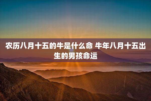 农历八月十五的牛是什么命 牛年八月十五出生的男孩命运