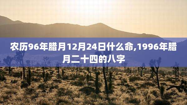 农历96年腊月12月24日什么命,1996年腊月二十四的八字
