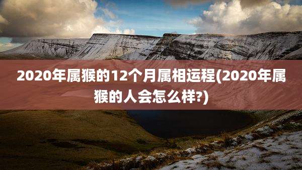 2020年属猴的12个月属相运程(2020年属猴的人会怎么样?)