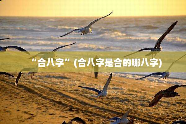 “合八字”(合八字是合的哪八字)