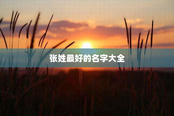 张姓最好的名字大全