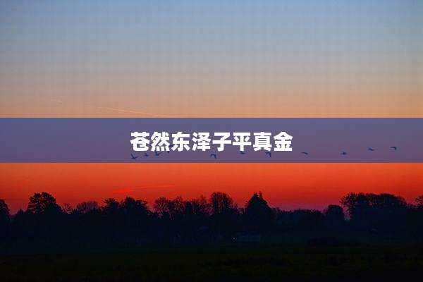 苍然东泽子平真金