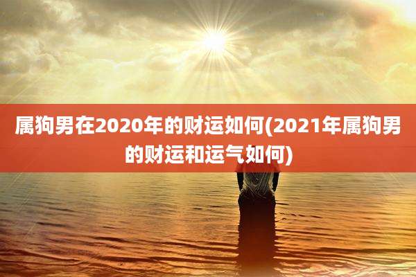 属狗男在2020年的财运如何(2021年属狗男的财运和运气如何)
