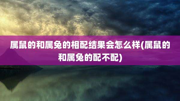 属鼠的和属兔的相配结果会怎么样(属鼠的和属兔的配不配)